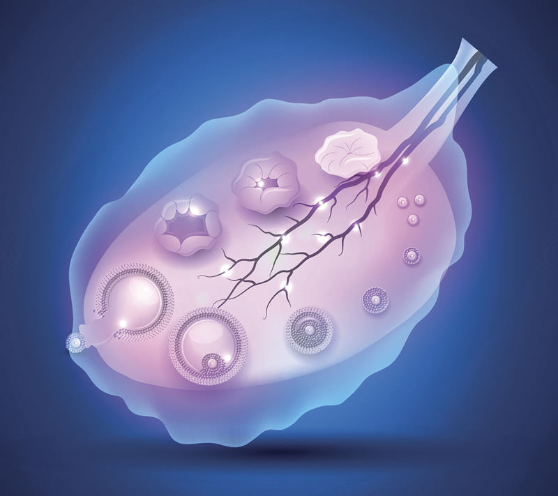 盐城三代试管婴儿比较好的私立医院名单一览？盐城试管婴儿医院排名比较好？